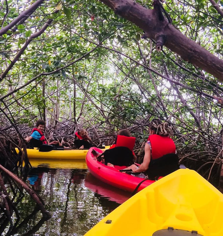 Belize lagoon kayaking